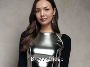 Breeestridge