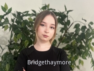 Bridgethaymore
