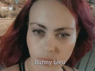 Bunny_bleu