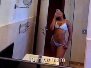 Bunnyoncam