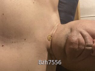 Bzh7556