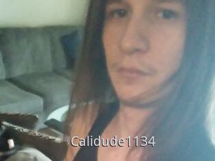 Calidude1134