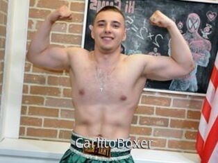 CarlitoBoxer