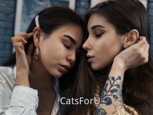 CatsForU