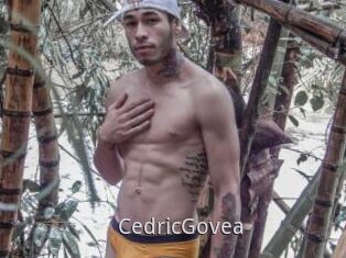 CedricGovea