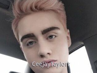 CeeJayTaylorr