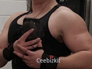 Ceebizkit