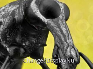ChangedDisplayNu