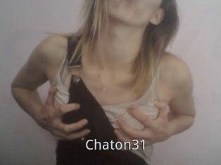 Chaton31