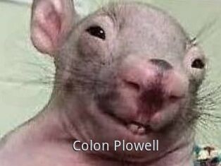 Colon_Plowell