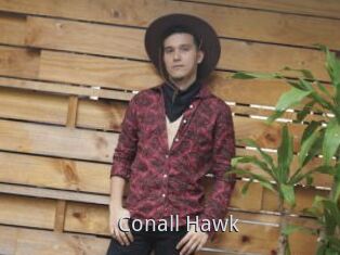 Conall_Hawk