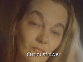 Curiousflower
