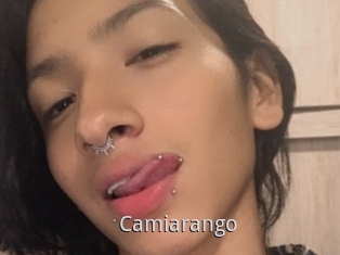 Camiarango