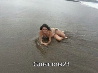 Canariona23