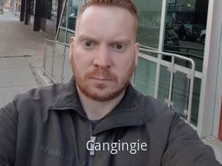 Cangingie