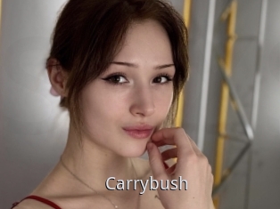 Carrybush
