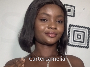 Cartercamelia