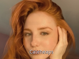 Cateheaps