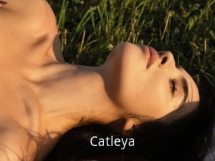 Catleya
