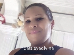 Cattleyadivina