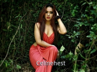 Celinehest