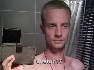 Chaton19