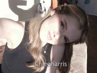 Chleoharris