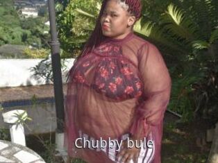 Chubby_bule