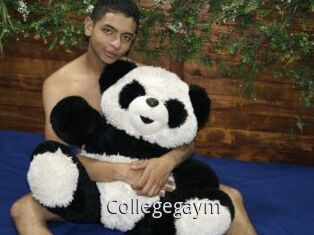 Collegegaym
