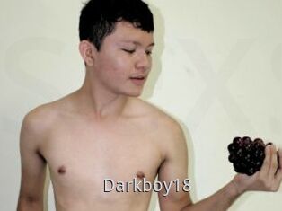 Darkboy18