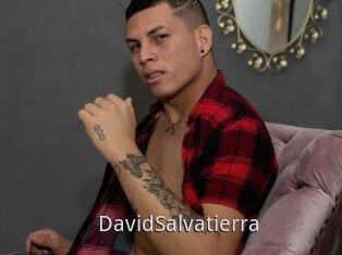 DavidSalvatierra