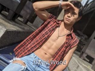 David_Wood