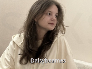 Daisybeames