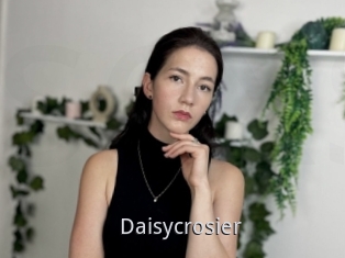 Daisycrosier