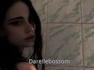 Darellebossom