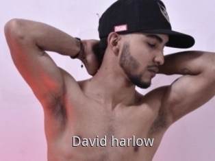 David_harlow