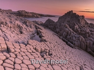 Davidhmodel