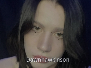 Dawnhawkinson