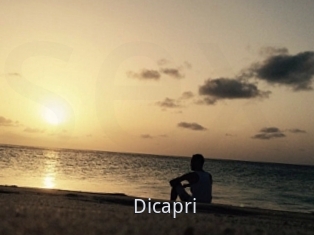 Dicapri