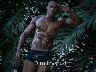 Dimitrystud