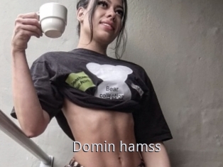 Domin_hamss