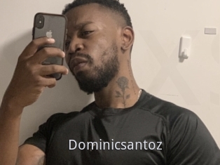 Dominicsantoz