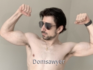 Domsawyer