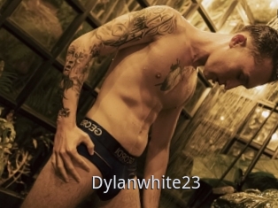 Dylanwhite23