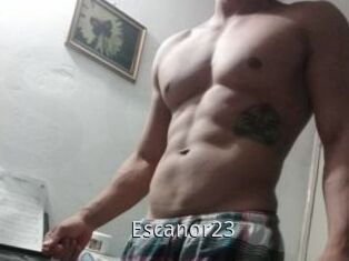 Escanor23