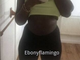 Ebony_flamingo