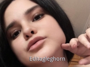 Editagleghorn