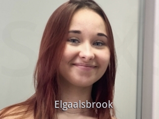 Elgaalsbrook