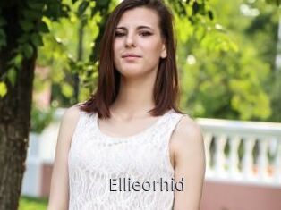 Ellieorhid