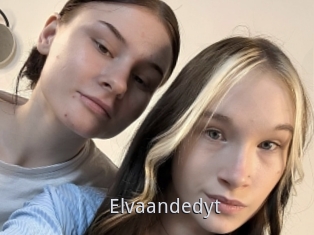 Elvaandedyt
